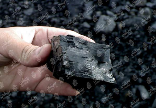 خرید و فروش انواع زغال به زیر قیمت بازار در جهرم