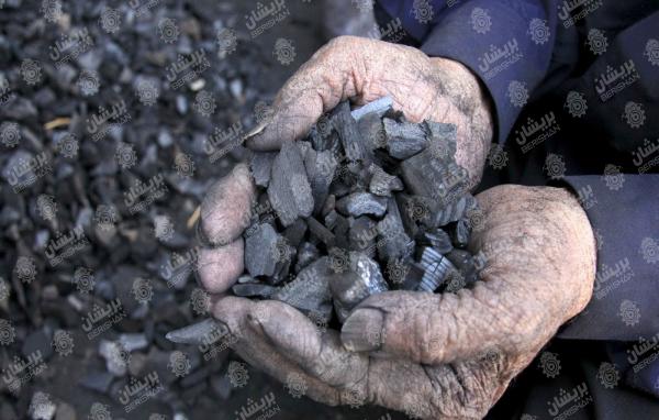 نمایندگی های فروش زغال در کرمانشاه