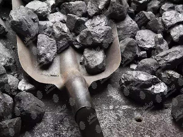 تولید کننده برتر زغال در مشهد